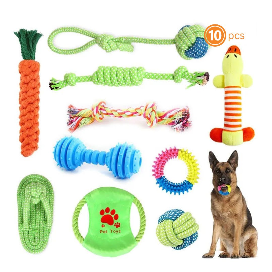 10-Piece Bite-Resistant Molar Dog Toy Set