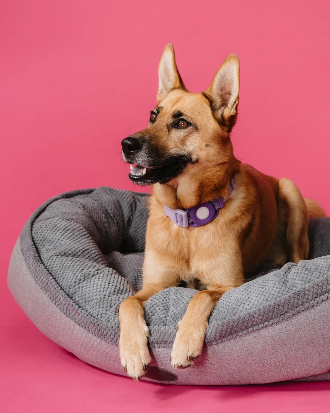Chester & Lee furry Bagel dog bed with plush, circular design and soft fabric, ideal for small or medium dogs.