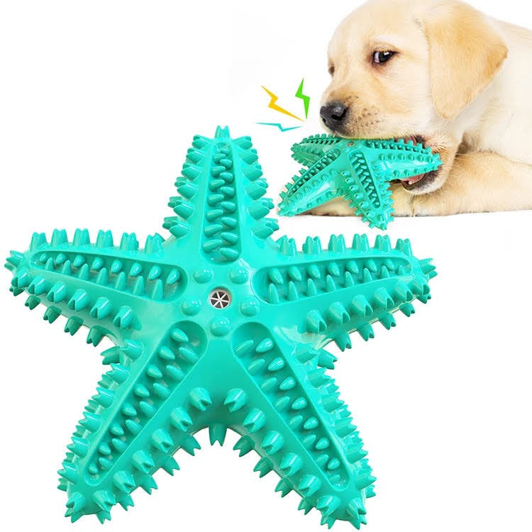 Blue Squeak Starfish Toy