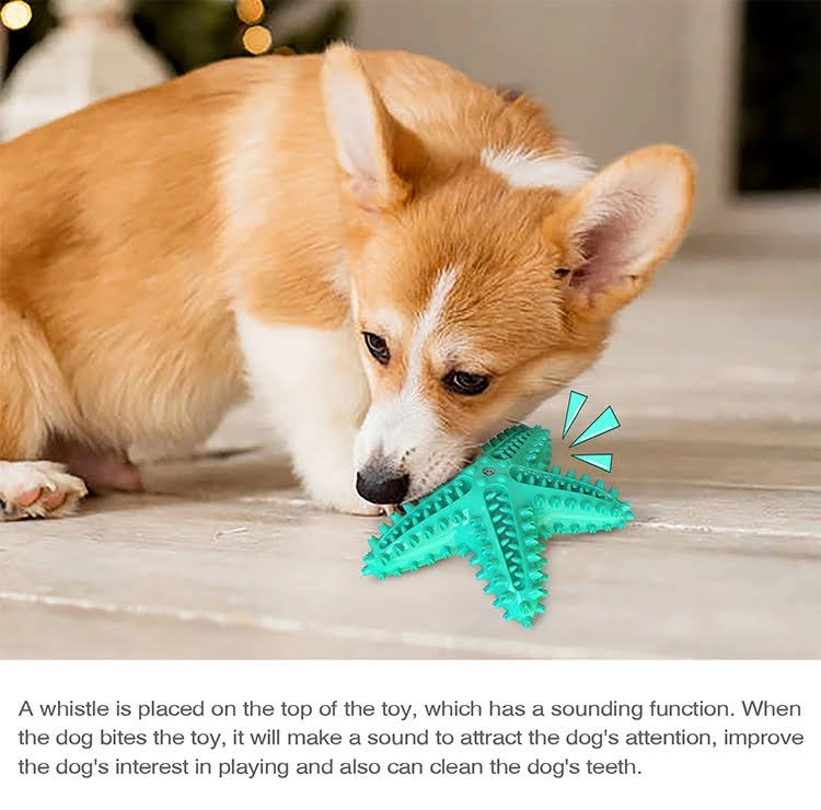 Green Squeak Starfish Toy