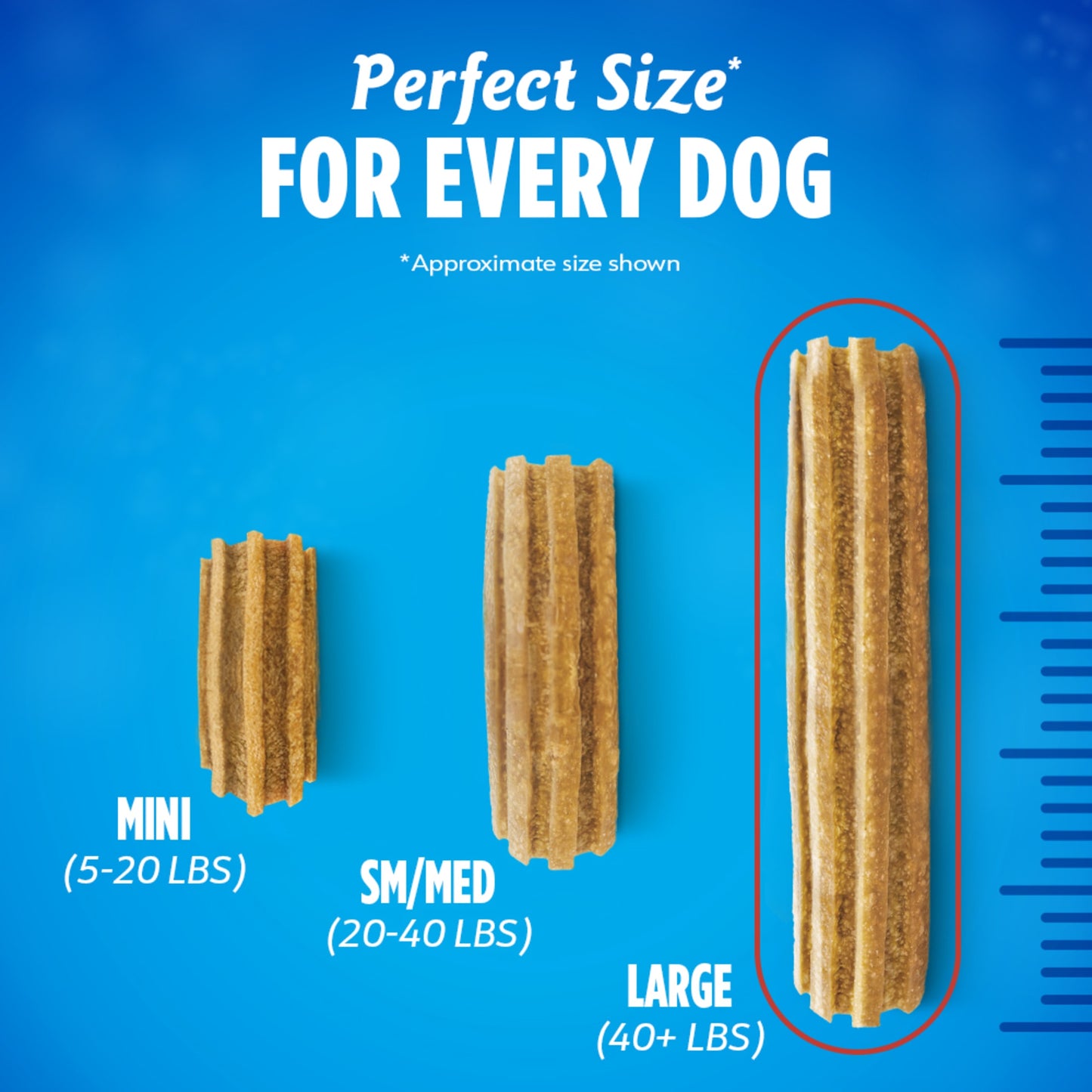 Purina Dental Chews: Daily Oral Care, Chicken Flavor