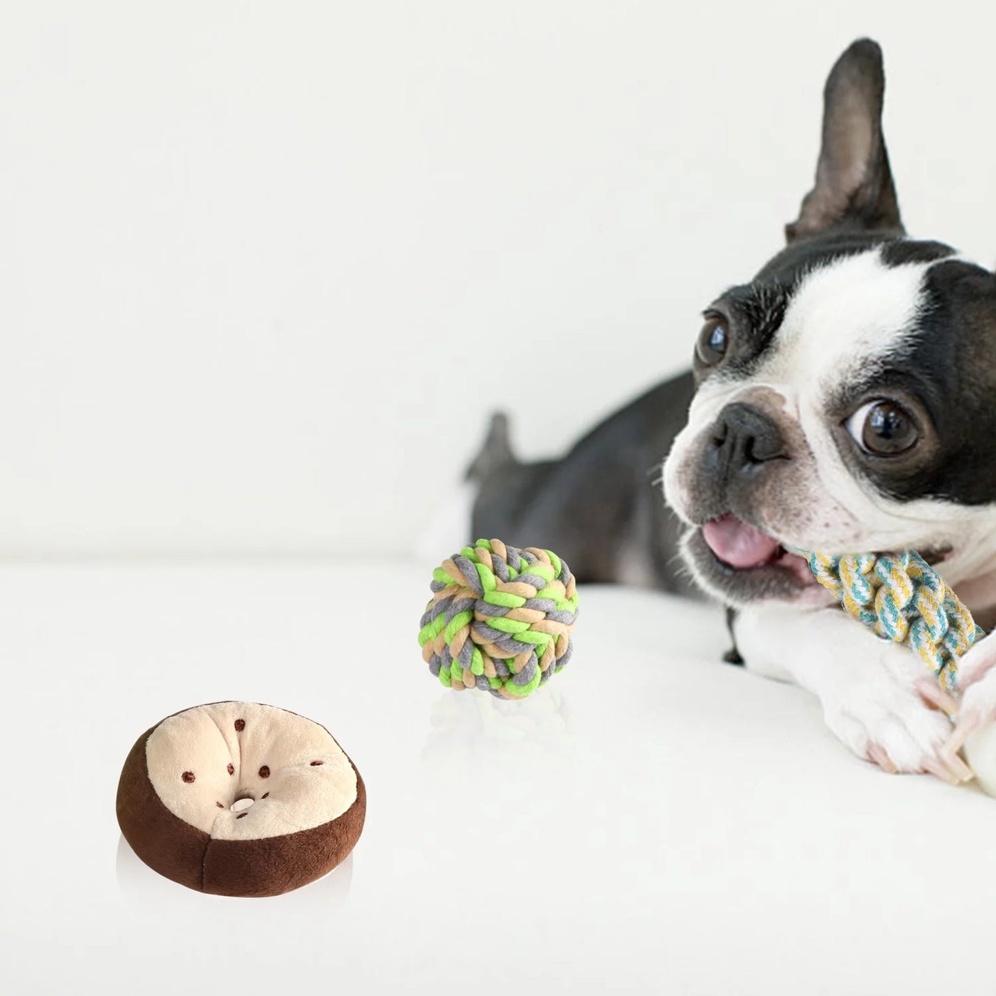 6-Piece Puppy Playtime Set: Plush squeaky toys and rope chews for small/medium dogs. Safe materials, durable design. Promotes dental health and active play.