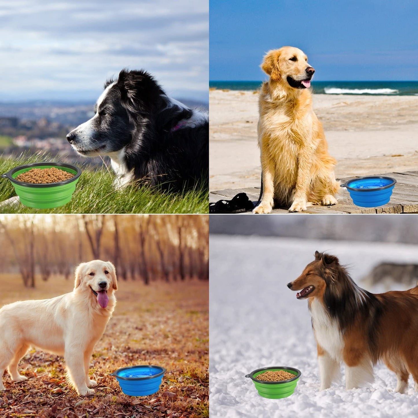 Collapsible Silicone Pet Bowl with Carabiner | Portable Food & Water Dish for Dogs & Cats | Lightweight, Travel-Friendly Design for Hiking & Walking