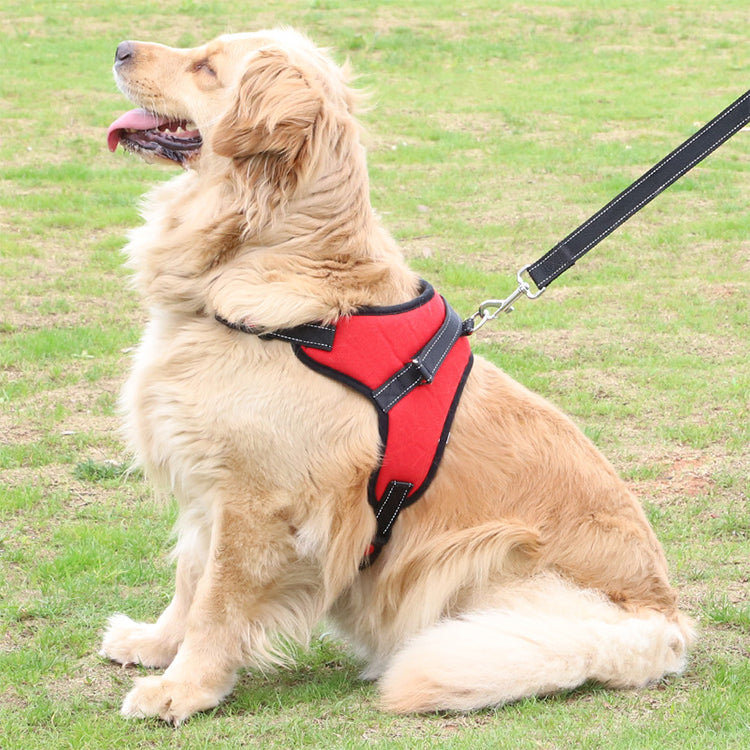 Adjustable Pet Harness – Secure, Comfortable, and Durable for All Sizes
