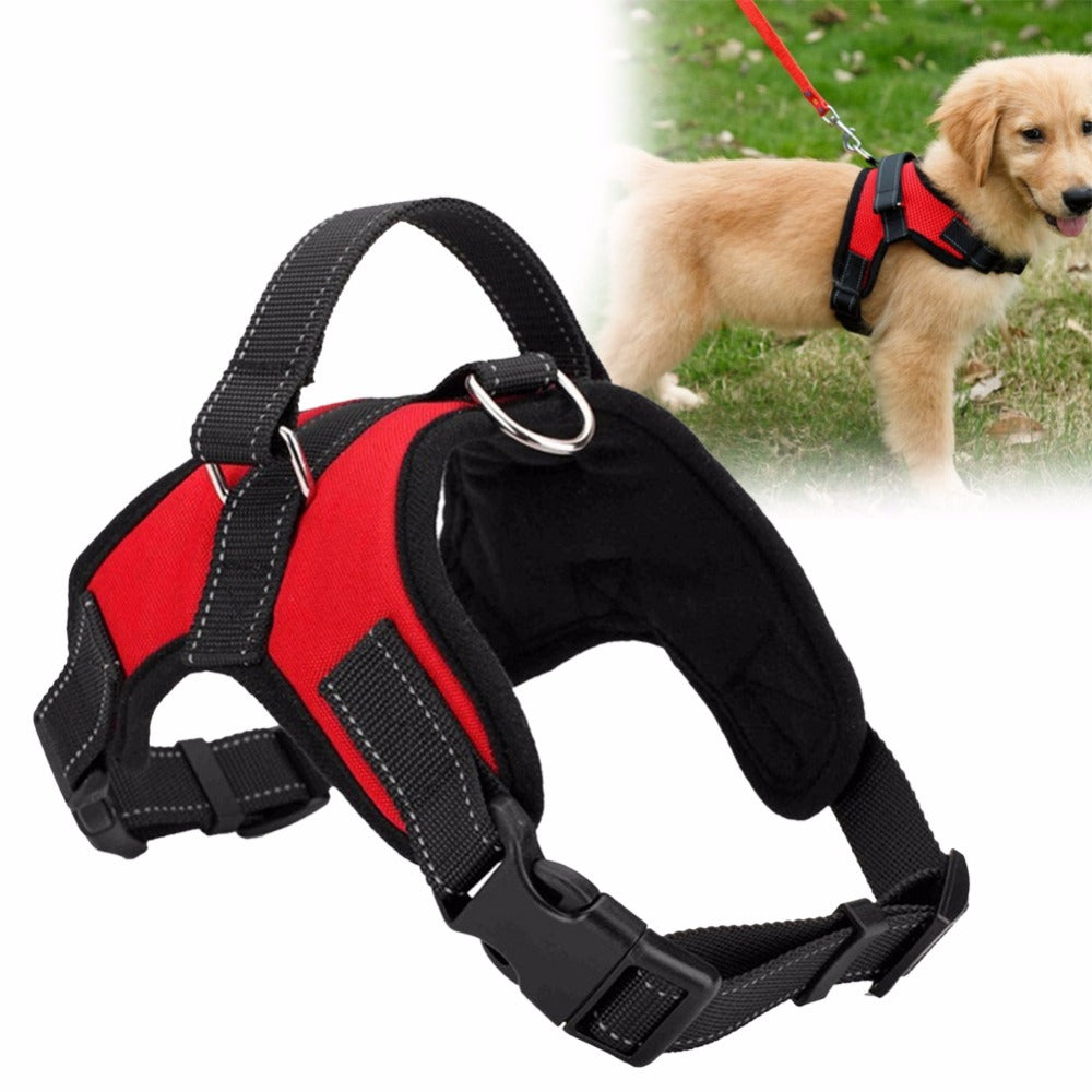 Adjustable Pet Harness – Secure, Comfortable, and Durable for All Sizes