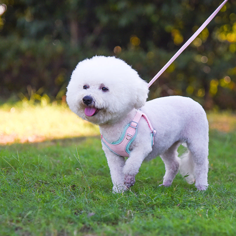 Adjustable Suede Dog Harness and Leash Set