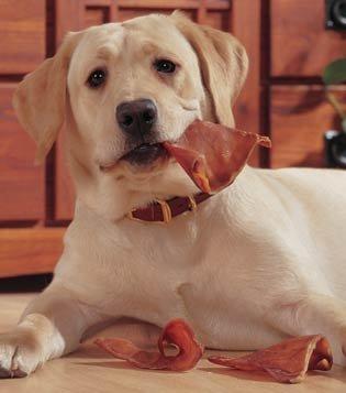 EcoKind All-Natural Pig Ear Dog Treats – Protein-Packed, Slow-Cooked Chews