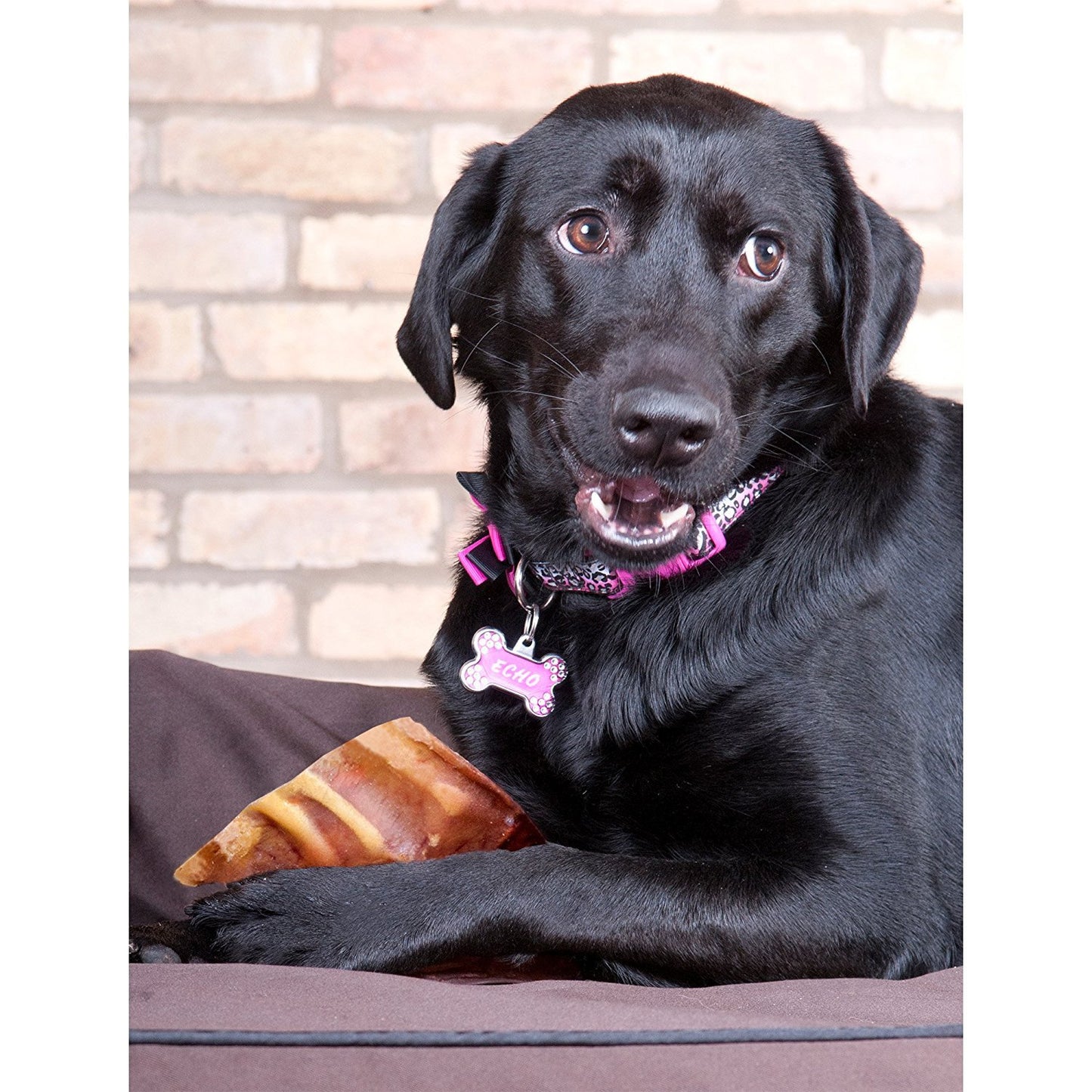 EcoKind All-Natural_Pig_Ear_Dog_Treats_Protein-Packed_Slow-Cooked_Chews