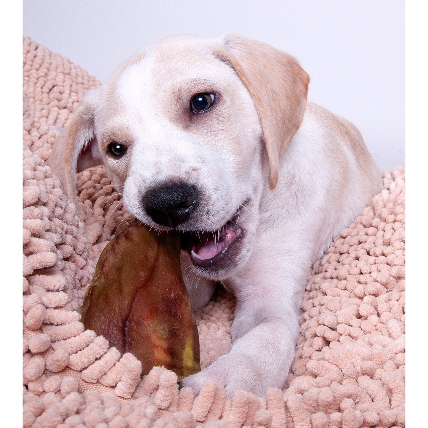EcoKind All-Natural_Pig_Ear_Dog_Treats_Protein-Packed_Slow-Cooked_Chews