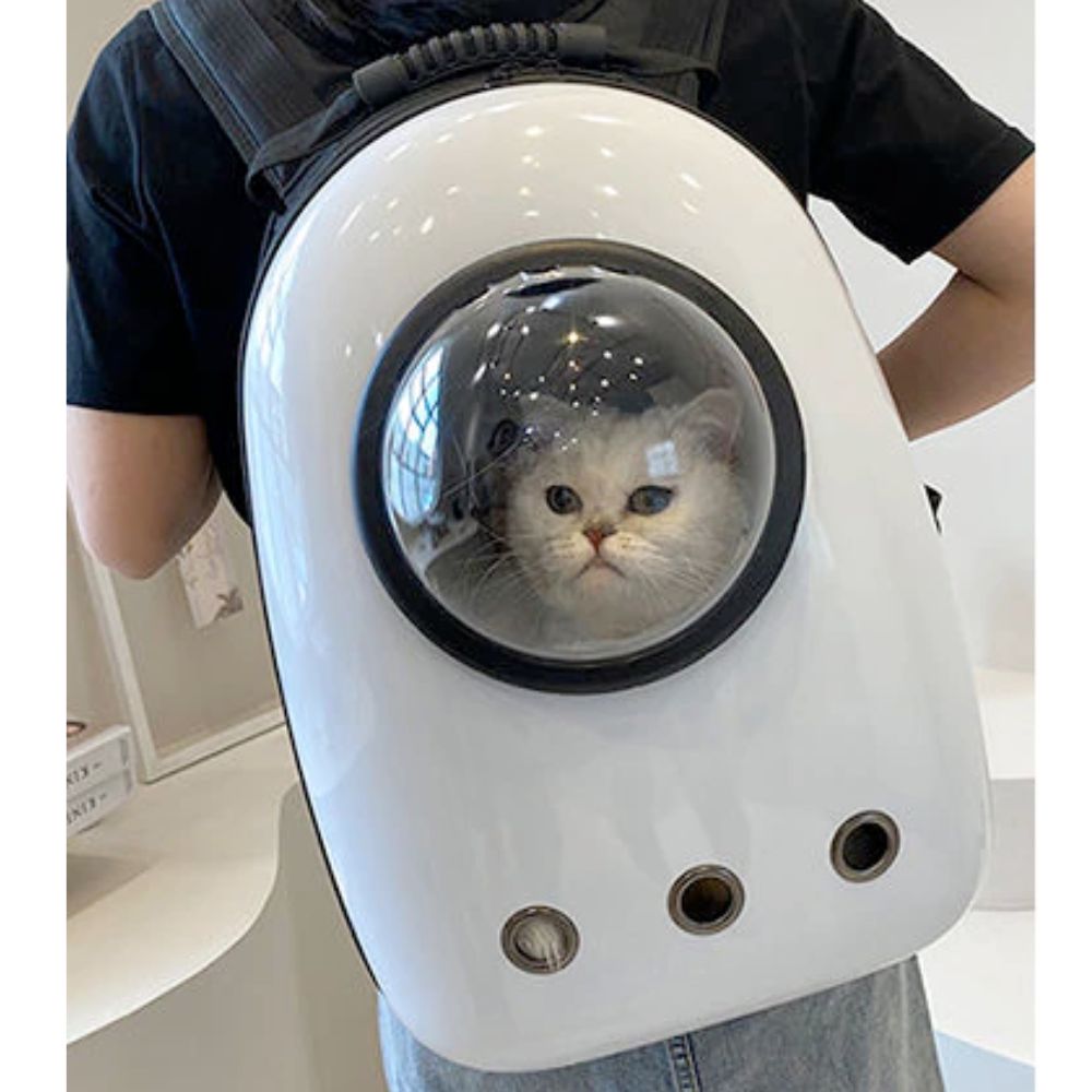 Breathable Hardshell Pet Backpack
