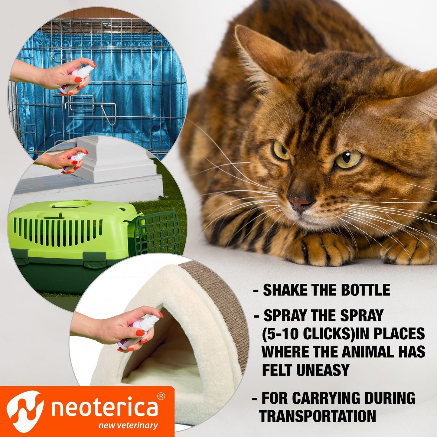 Cat Calming Pheromone Spray: Drug-free anxiety relief for stress, scratching & spraying. Reduces fighting & hiding. Effective for 90% of cats. Works in 7 days. Ideal for travel and vet visits.
