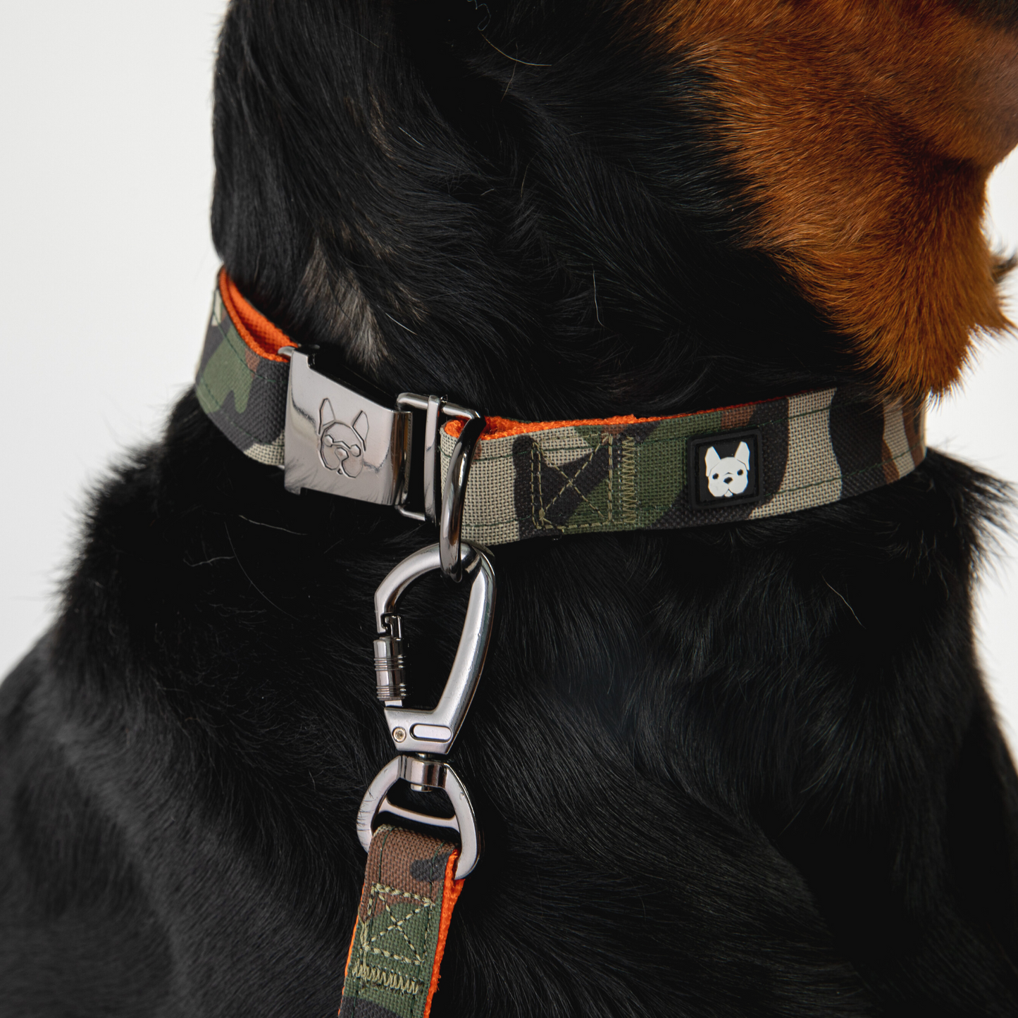Camo Commander: The Paw-fect Poplin Leash for Stealth Walks