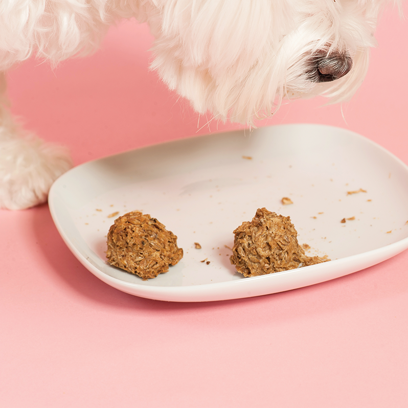 Peanut Butter Beer Biscuits for Dogs – Healthy, High-Protein Dog Treats