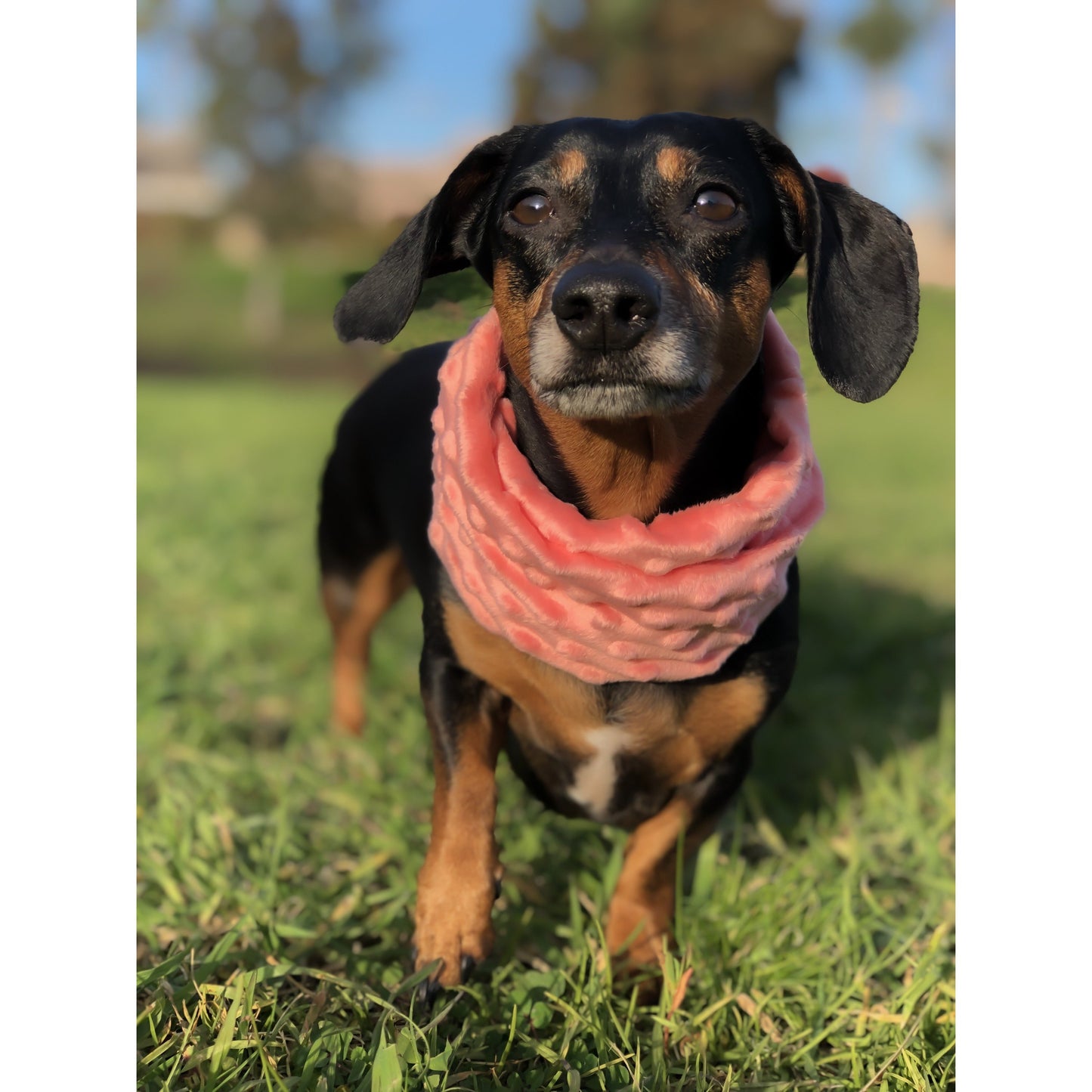 Cozy Faux Fur Mommy & Me Scarves