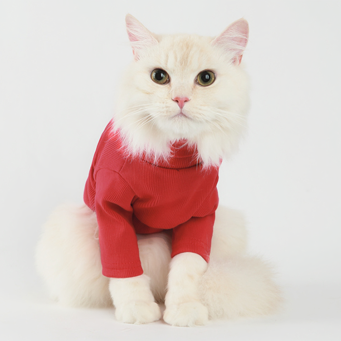 Red Cat Turtleneck Sweater – Stylish & Cozy 100% Cotton Winter Wear for Cats