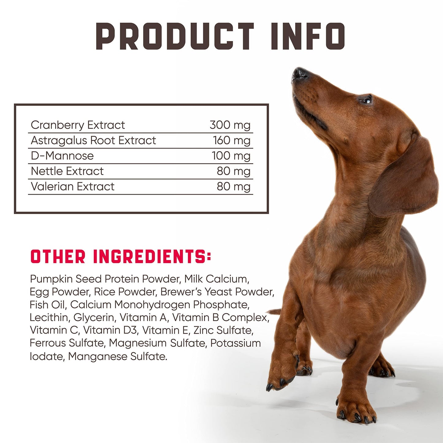 Cranberry Chews for Dogs support urinary, bladder, and kidney health while boosting immunity and digestion. Made with natural, allergen-free ingredients!