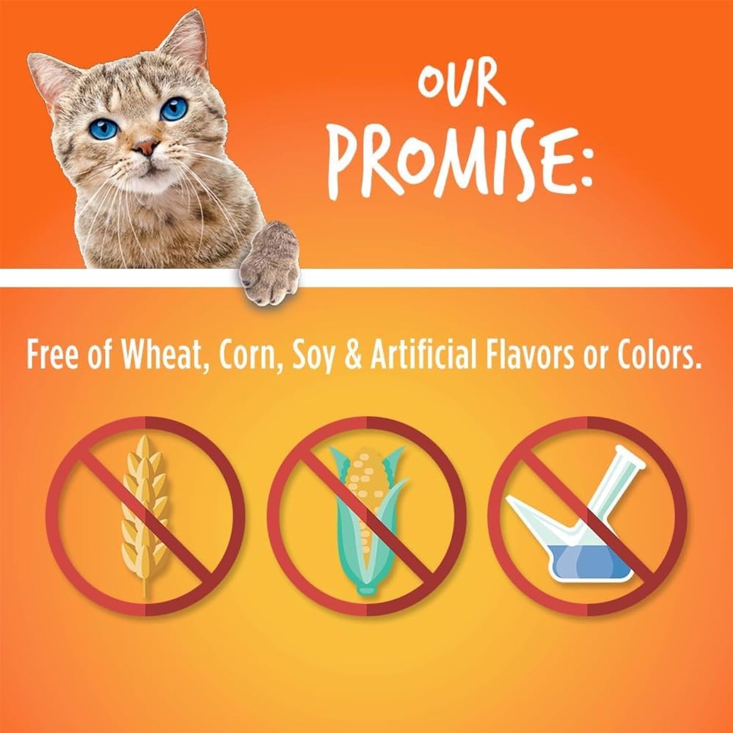 Cat Treats – Crunchy Treats for Cats – Healthy Low Calorie Treats Packed with Protein – Free of Wheat, Corn and Soy – Made with Real Tuna with Pumpkin – 2.5 Ounces