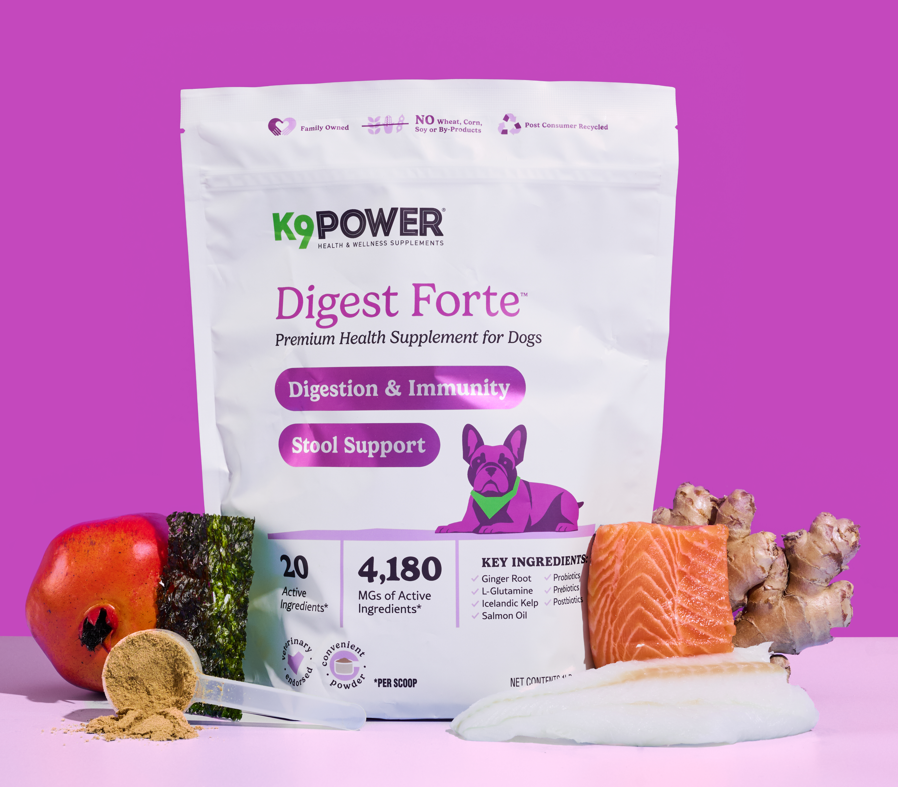 Dog Digestive & Immune Supplement – K9 Power Digest Forte