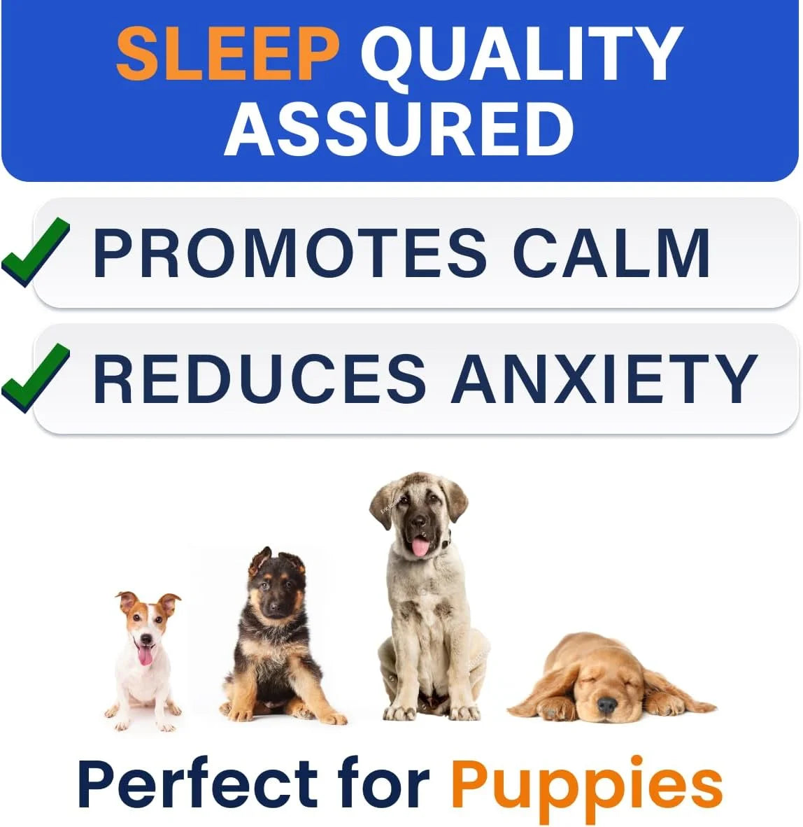 Tired of your furry friend’s anxiety ruining car rides, vet visits, or thunderstorms? BARK&SPARK Extra Strength Melatonin Chews are here to save the day! Our powerful 6mg formula, enhanced with valerian root and L-Theanine, provides natural, chemical-free relaxation for dogs of all sizes. These delicious bacon-flavored treats are a hit even with the pickiest pups, making administration a breeze.