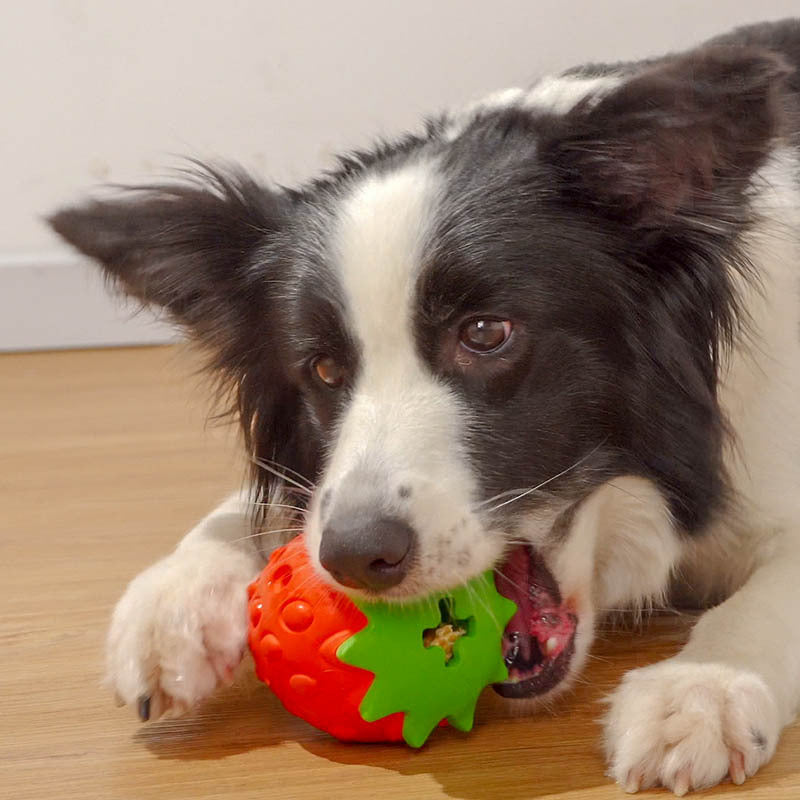 Durable Dental Chew Strawberry Ball for Dogs
