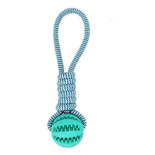 Blue Durable Dog Chew Toy – Keep Your Dog Healthy, Happy, and Engaged!