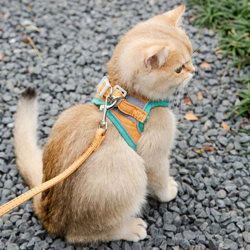 Escape-Proof Cat Walking Vest