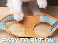 Escape-Proof Cat Walking Vest