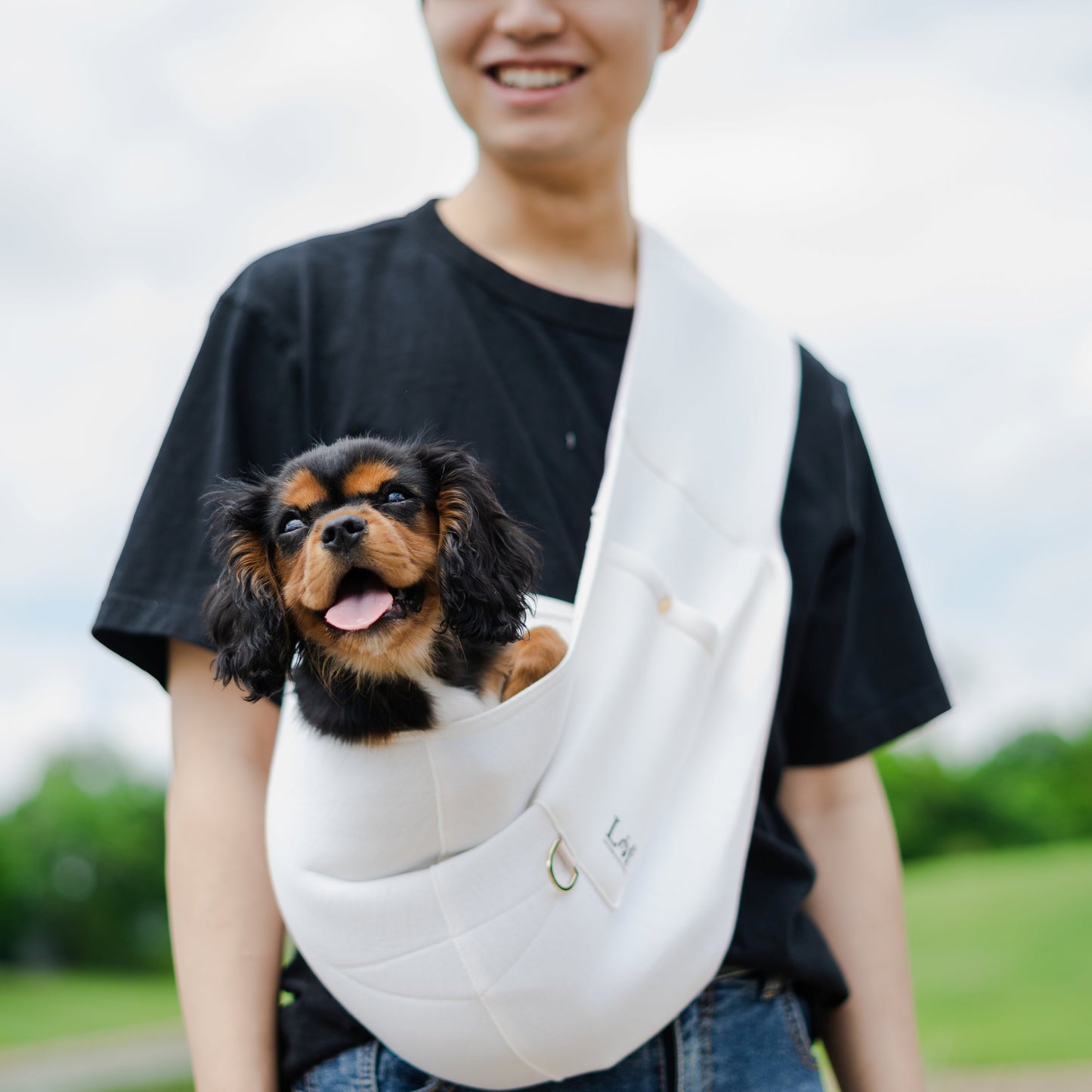 Front Pet Sling Carrier Secure Stylish Travel for Small
