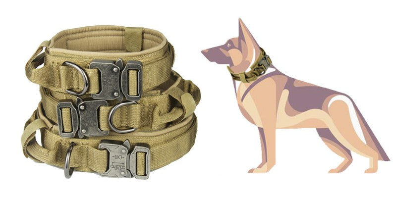 Heavy-Duty Dog Collar with Handle – Durable, Adjustable, and Comfortable for Medium & Large Dogs