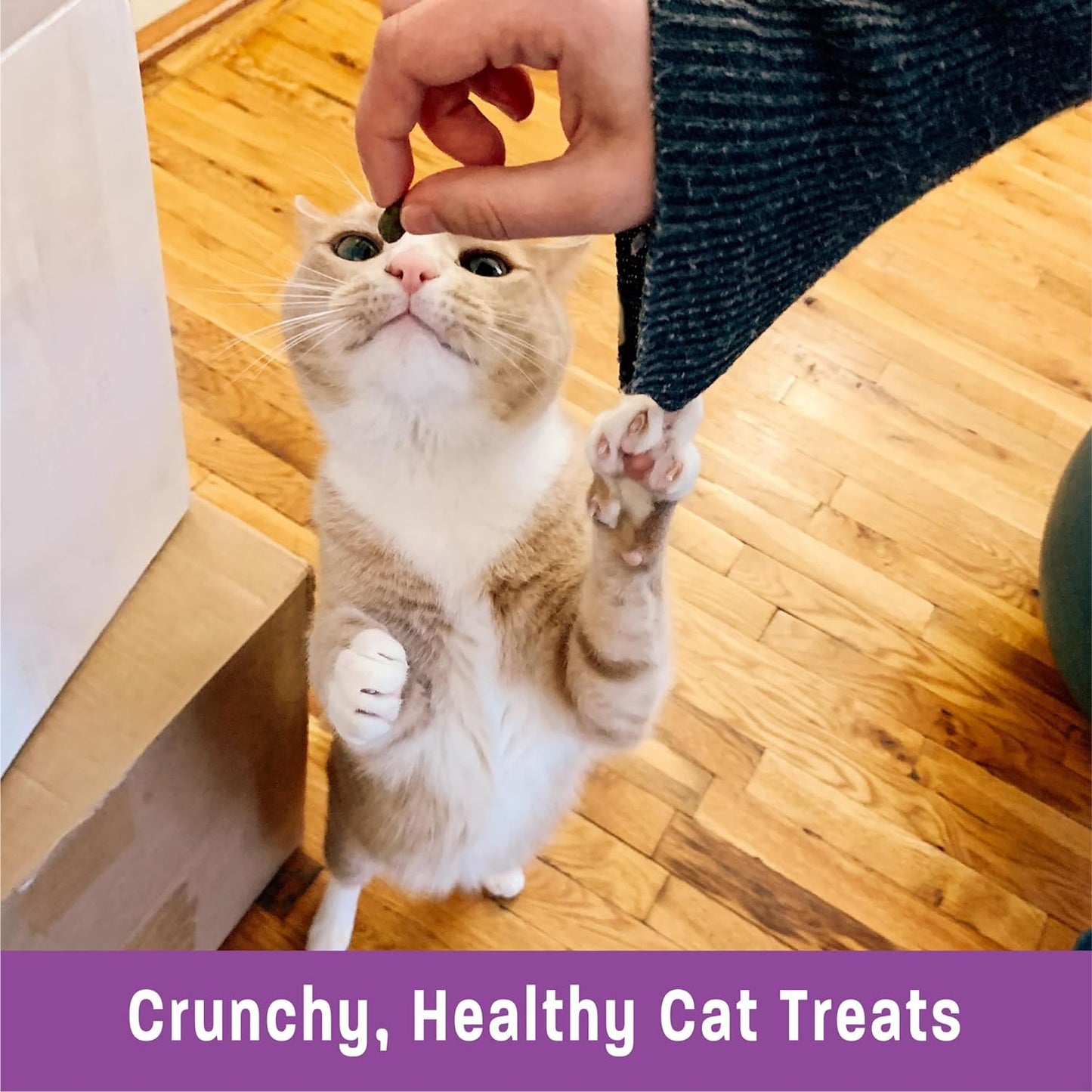 Kittles Natural Grain Free Cat Treats, Tuna & Cranberries, 6-Ounce Bag
