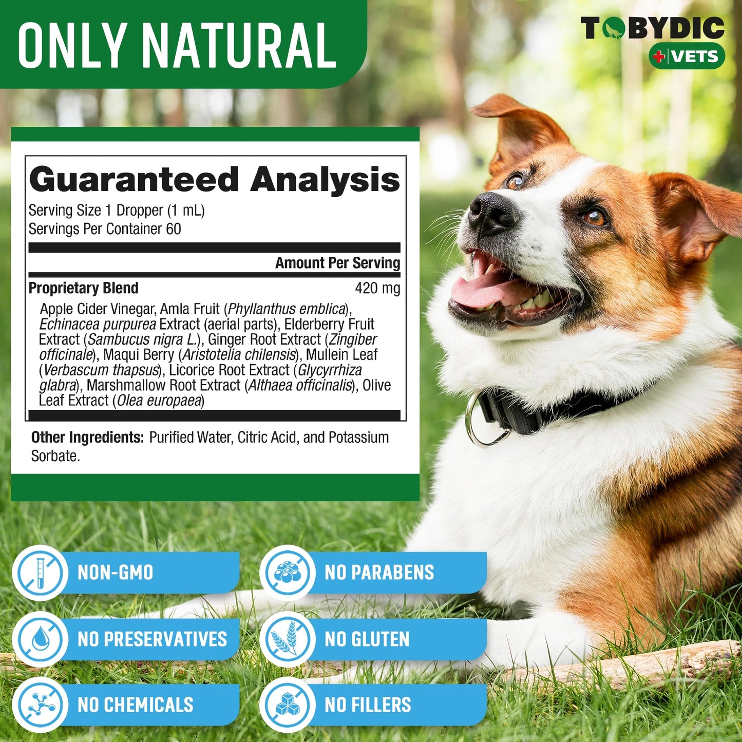 Natural Pet Cough & Respiratory Relief