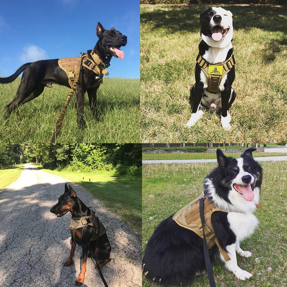 Upgrade your dog’s walking experience with the No-Pull Dog Harness and Tactical Leash Set, designed for ultimate control, comfort, and durability. Whether for training or everyday adventures, this harness ensures safety and ease for both you and your pup.