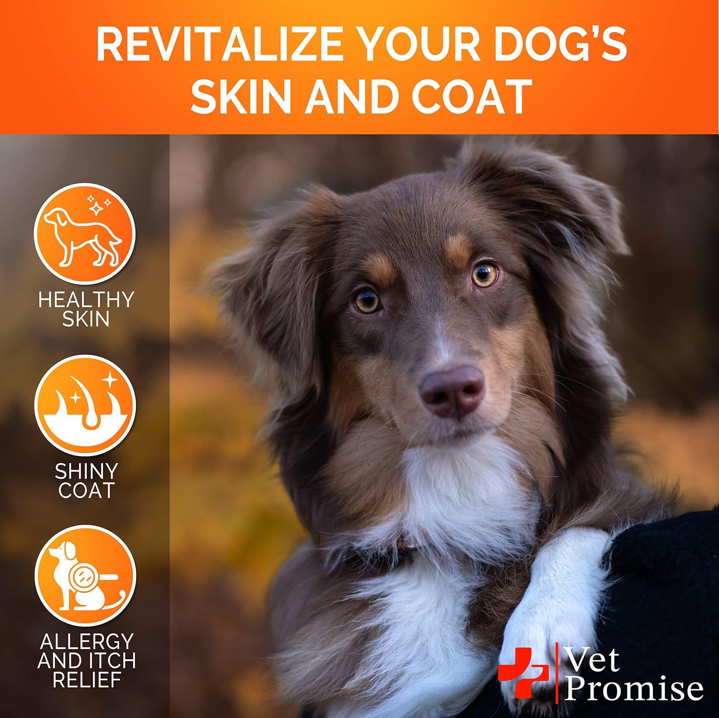 Omega 3 Dog Supplement – Healthy Skin, Shiny Coat, Itch Relief, Vet-Formulated & USA-Made