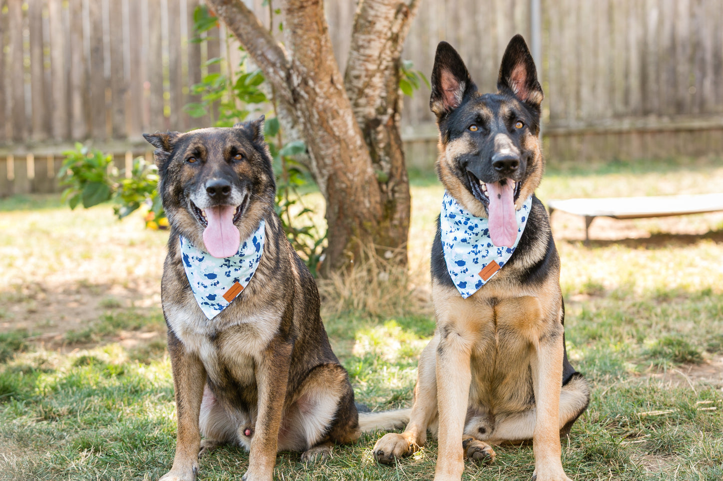 German Shepards Paws Corner Dog Bandana