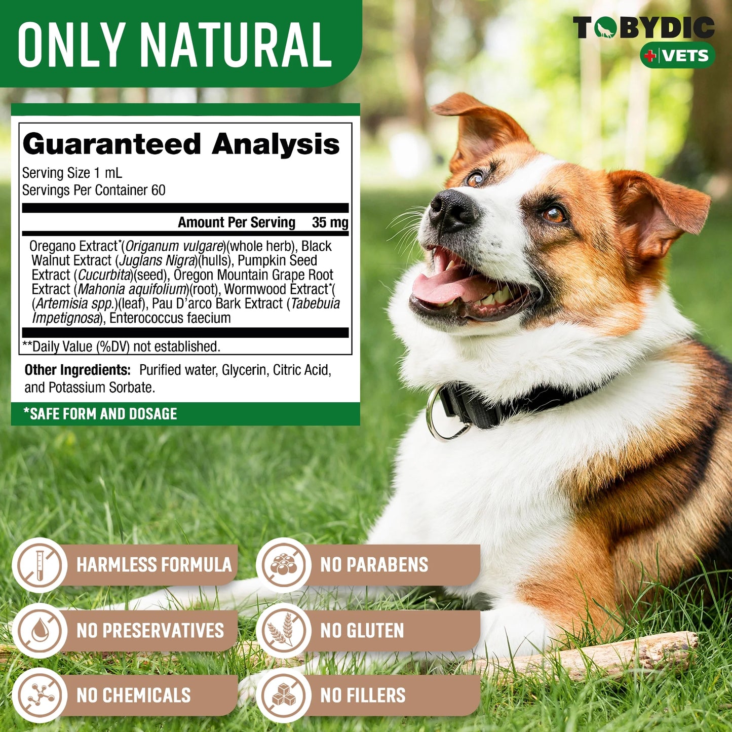Vet-crafted pet wellness drops: Probiotic blend for digestion & immunity. USA-made, all-natural. Easy to use for dogs & cats of all sizes.