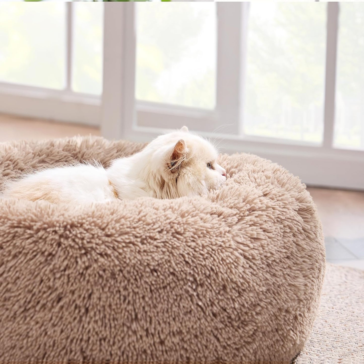 Experience unparalleled comfort for your furry friend with our Plus Donut Calming Pet Bed. This plush donut-shaped bed is 20% softer than competitors, featuring high-quality faux shag fur that creates a warm, calming environment. The raised rim design provides optimal head and neck support, while premium ultra-soft filling offers joint and muscle pain relief. OEKO-TEX certified for safety, this versatile bed comes in various sizes, with the XS (20”x20”) fitting pets up to 15 lbs.