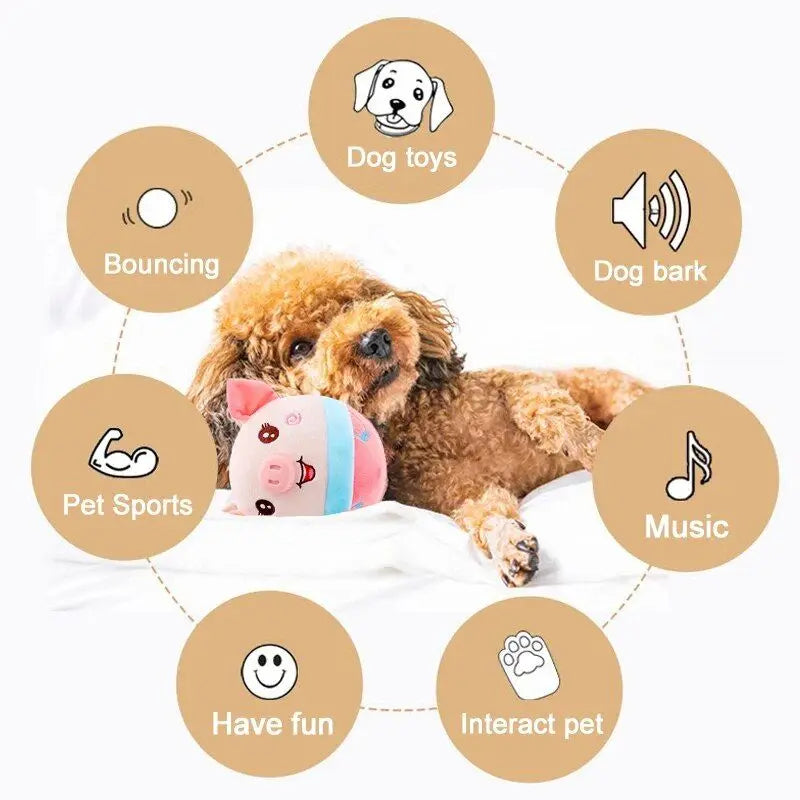 Interactive dog toy: Auto-bounce, squeak, shake. Activates by touch. Keeps pets entertained & exercised. Easy to clean, USB rechargeable.
