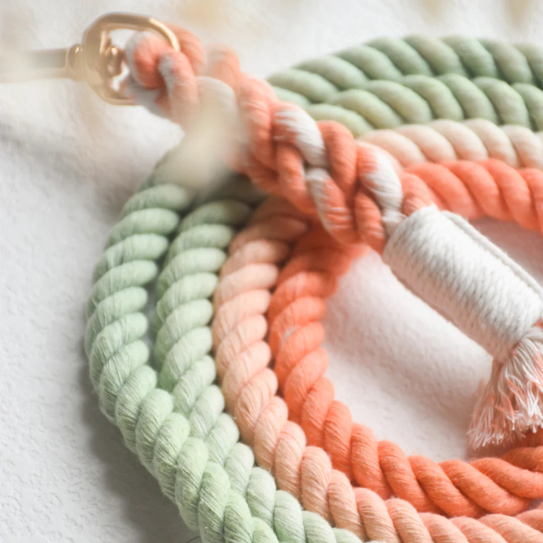 Bubble Soda pink and green ombré hands-free dog rope leash with gold hardware coiled on a white background.