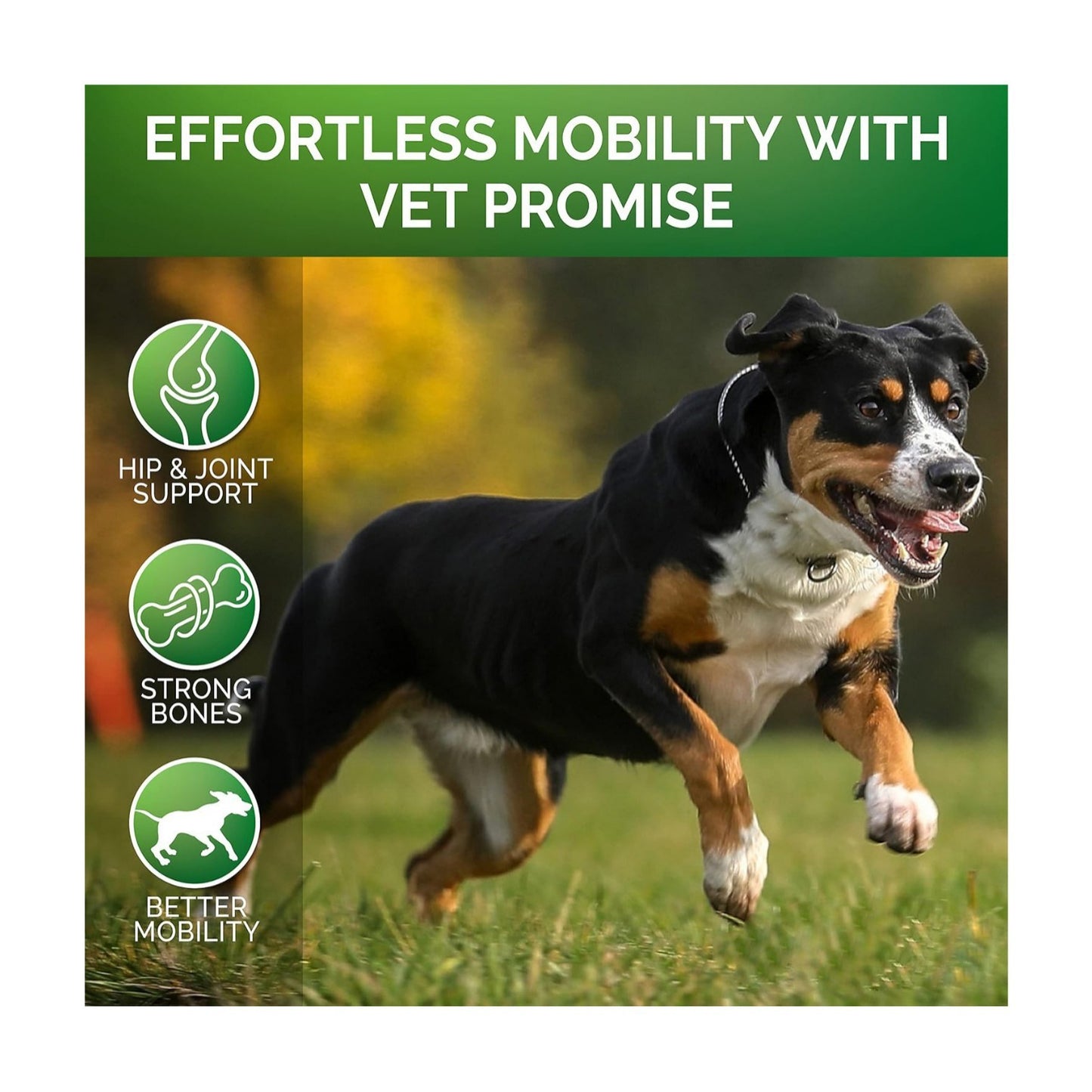 Ultimate Joint Relief: 120 chicken-flavored chews with glucosamine, chondroitin and hemp oil. Improves mobility for all dogs. Reduces inflammation, boosts flexibility. Long-lasting support.