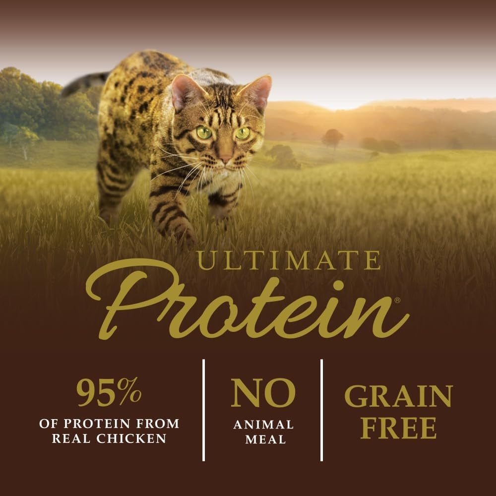 Instinct Ultimate Protein Grain-Free Cage-Free Chicken Dry Cat Food offers 95% protein from real chicken, unmatched digestibility, raw-coated kibble, and no grains or artificial additives. It includes probiotics, omegas, and antioxidants for digestive, skin, coat, and immune health.