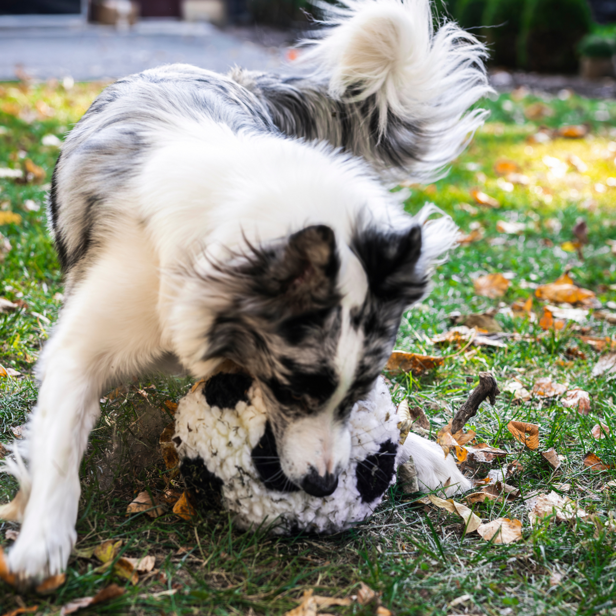 HuggleFleece® Soccer Ball dog toy by HuggleHounds, featuring a plush soccer ball design for dogs to play with.