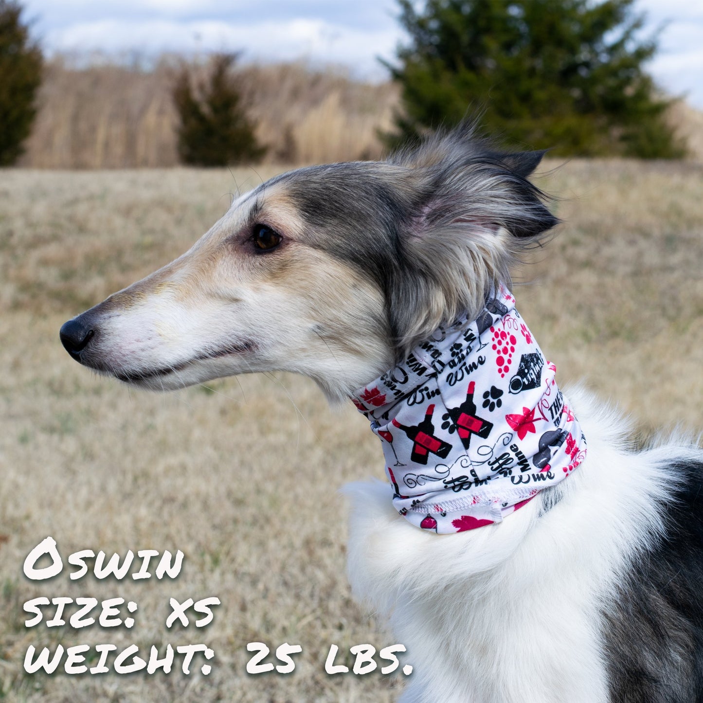 Wags & Wine Pup Scruffs – Stylish & Durable Dog Neckwear