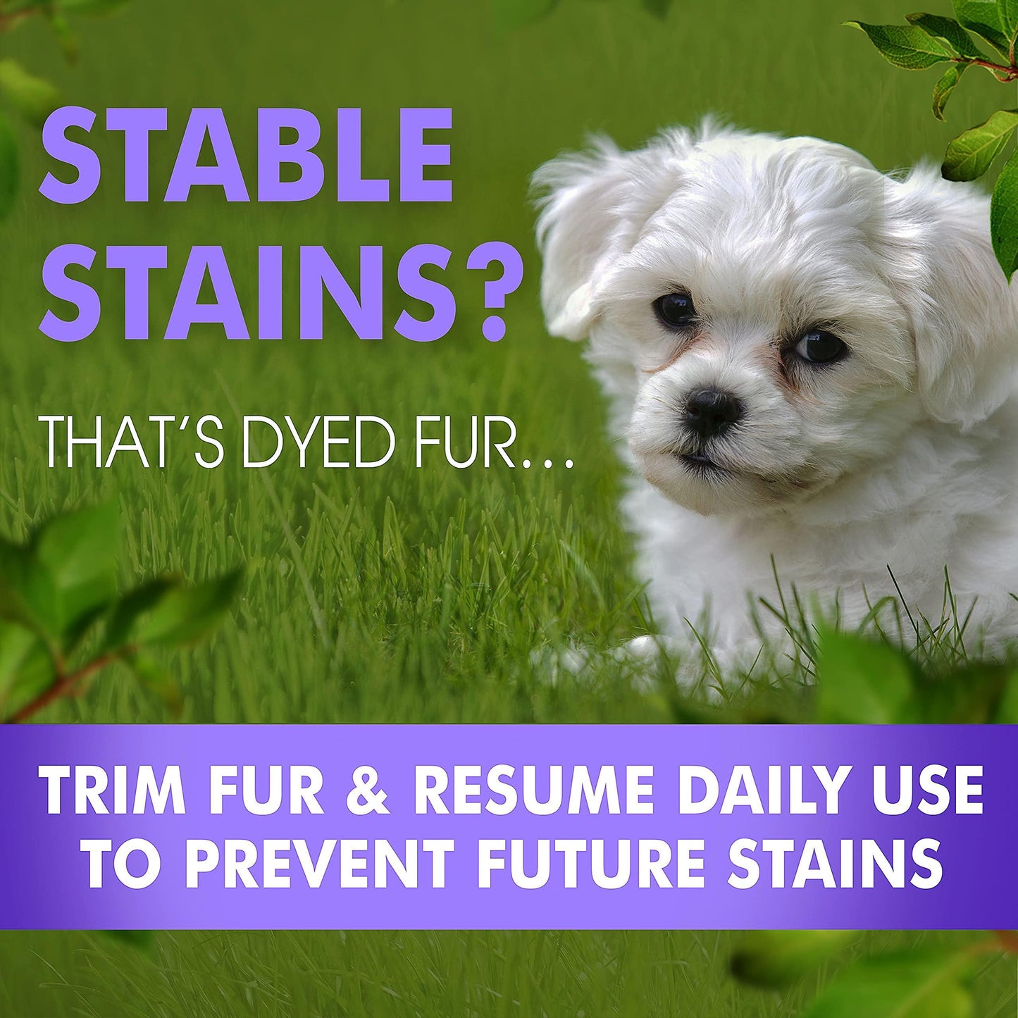 Arava Stain-B-Gone: Premium Pet Tear & Saliva Stain Eliminator
