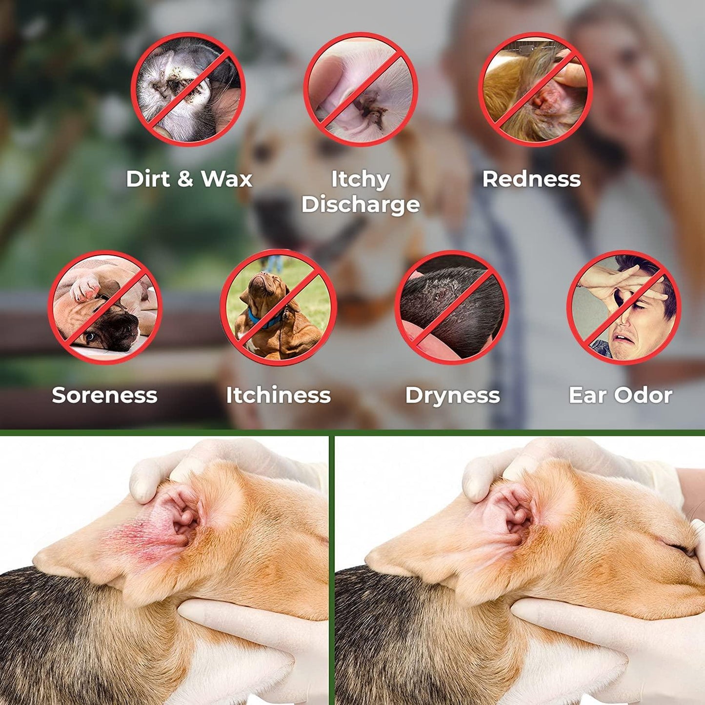 Arava Natural Pet Ear Wipes: 100 Count for Dogs, Cats & Puppies