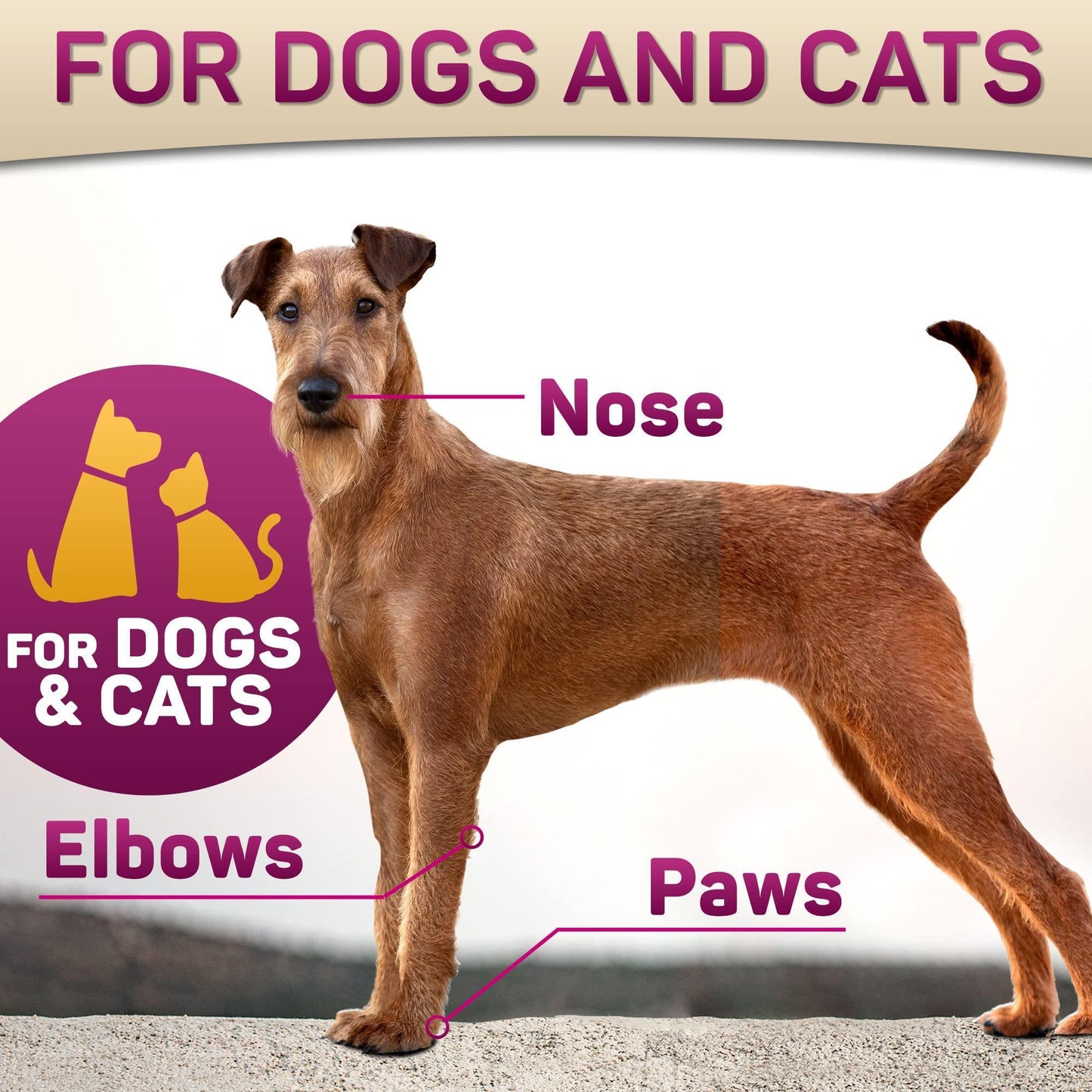 paw pad and nose balm