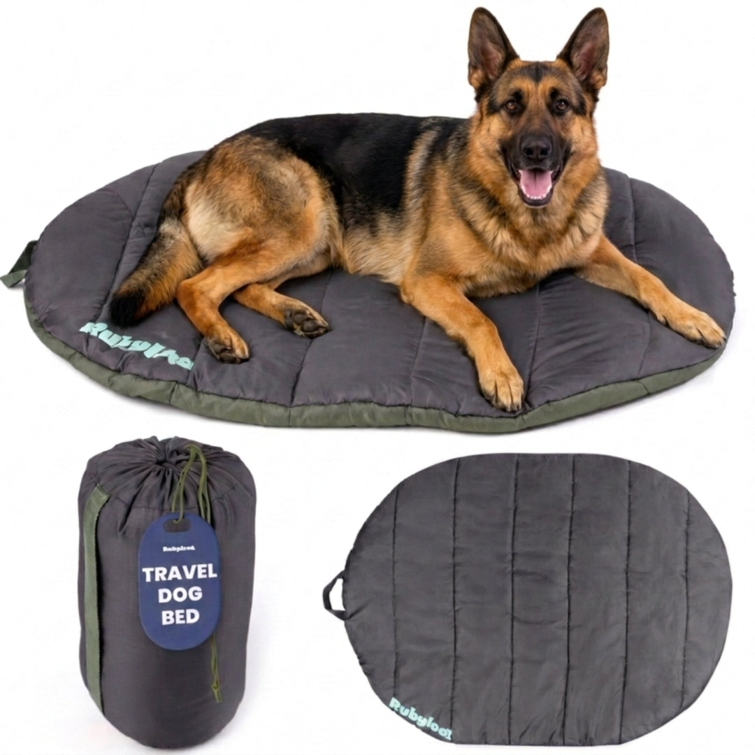 An XL German Shepherd lying on a charcoal grey Rubyloo waterproof travel dog bed with a matching compression stuff sack for outdoor camping.