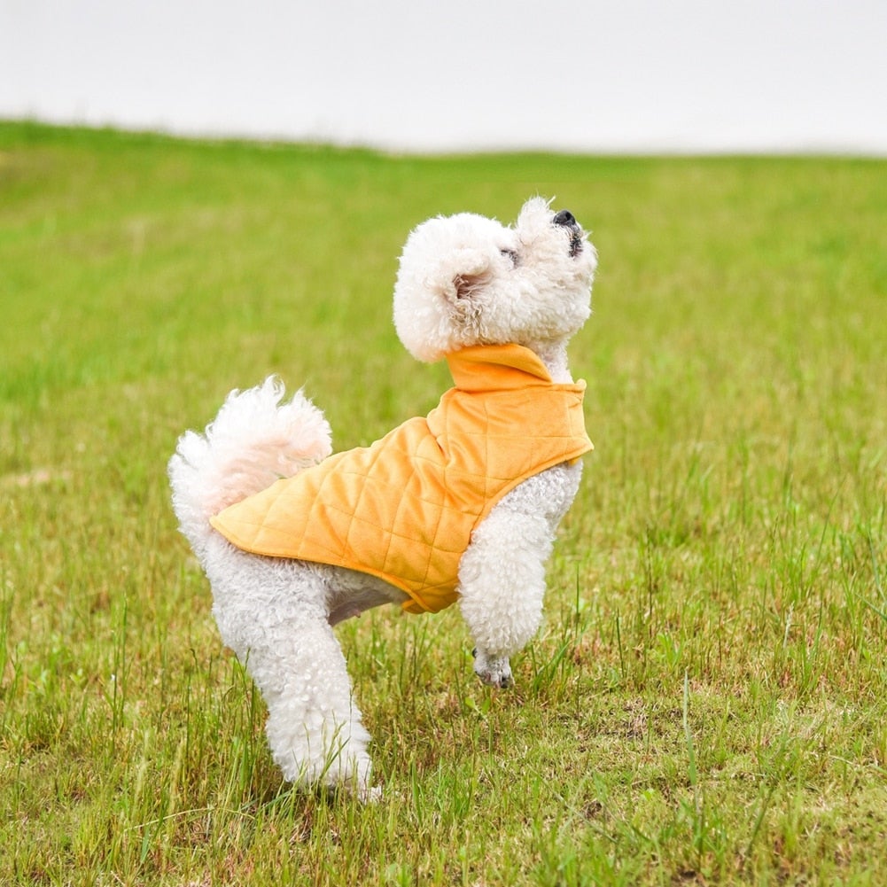 Fur-Lined Dog Winter Vest | Warm Pet Jacket