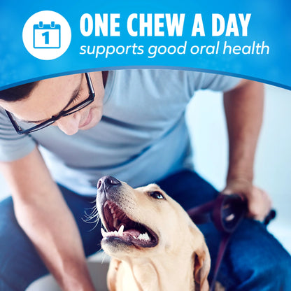 Purina Dental Chews: Daily Oral Care, Chicken Flavor