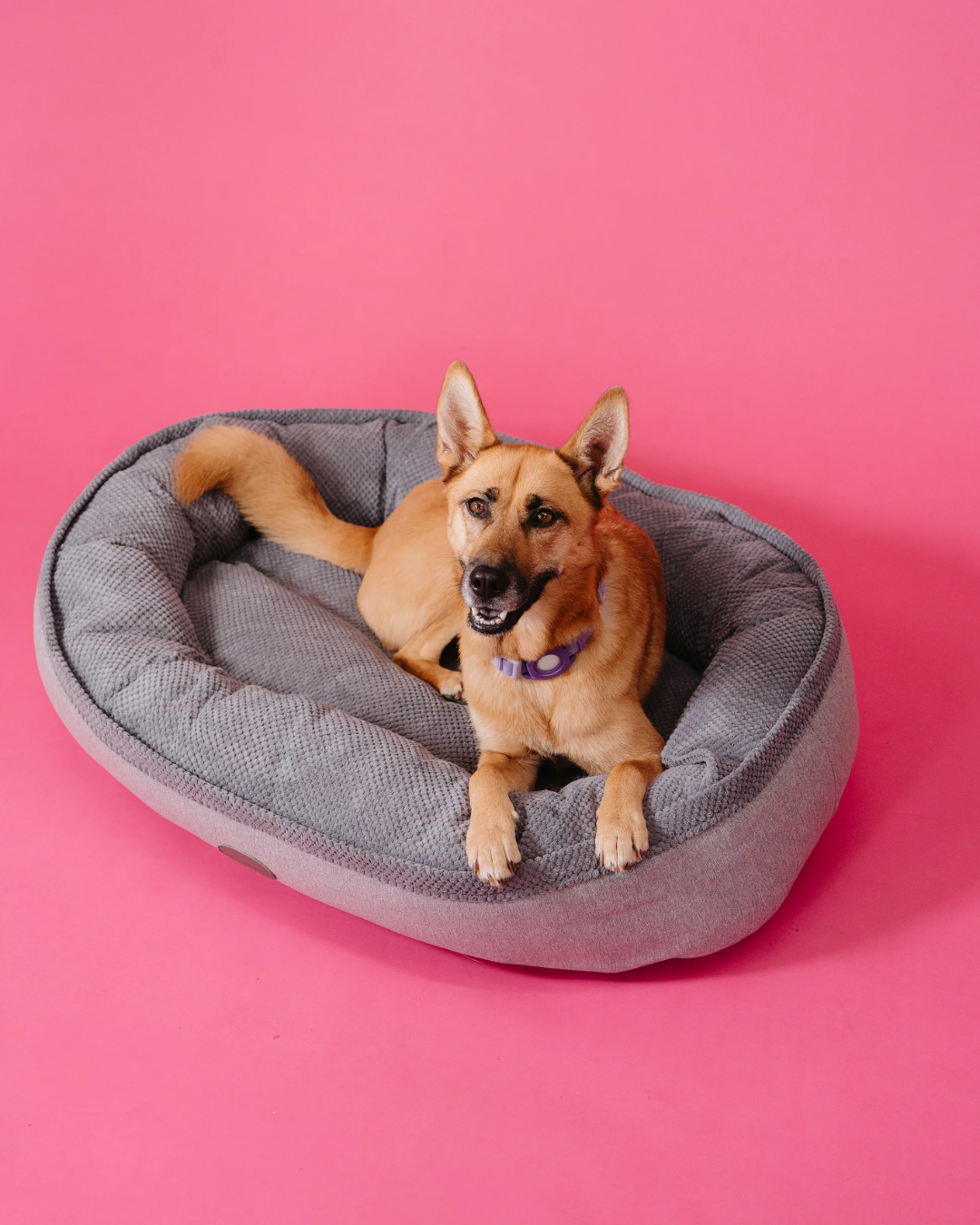 Chester & Lee furry bagel dog bed with plush, cozy fabric and circular design, perfect for small to medium pets.