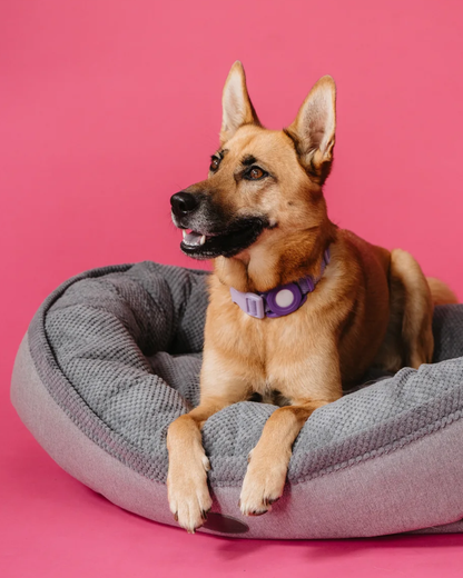 Chester & Lee furry Bagel dog bed with plush, circular design and soft fabric, ideal for small or medium dogs.